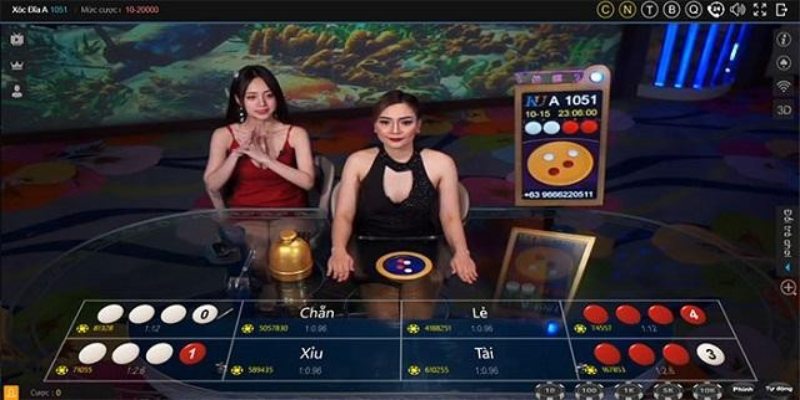 Kiểu cược trong game xóc đĩa tại nhà cái rất đa dạng