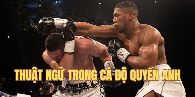 Những thuật ngữ trong Boxing