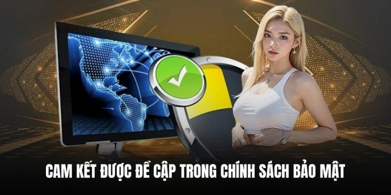 New88 hiện đang vận dụng nhiều công nghệ hiện đại