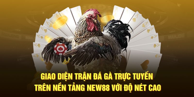 Giao diện trận đá gà trực tuyến trên nền tảng New88 với độ nét cao