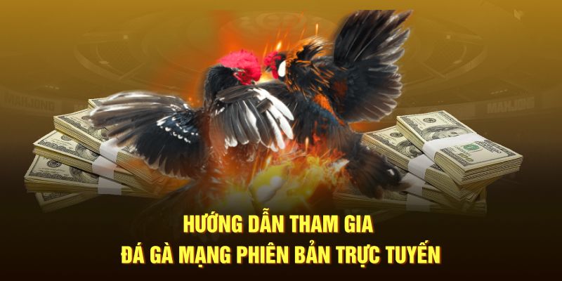 Hướng dẫn tham gia đá gà mạng phiên bản trực tuyến