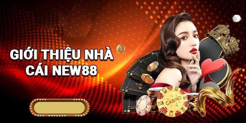 Giới thiệu chung về New88 